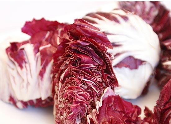 Radicchio rosso Chioggia